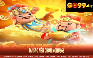 Tại Sao Nên Chọn Nohu666