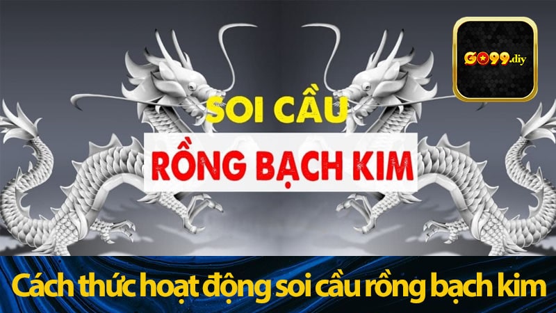 Cách thức hoạt động của Soi cầu Rồng Bạch Kim là gì?